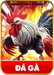 Đá gà 33win